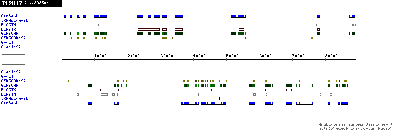 [Image of T12H17]