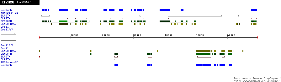 [Image of T12H20]