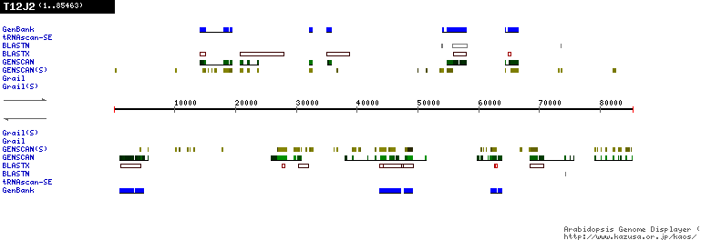 [Image of T12J2]