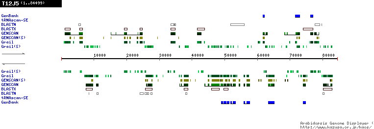 [Image of T12J5]