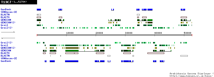 [Image of T13C7]