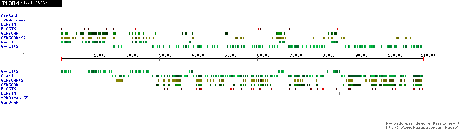 [Image of T13D4]