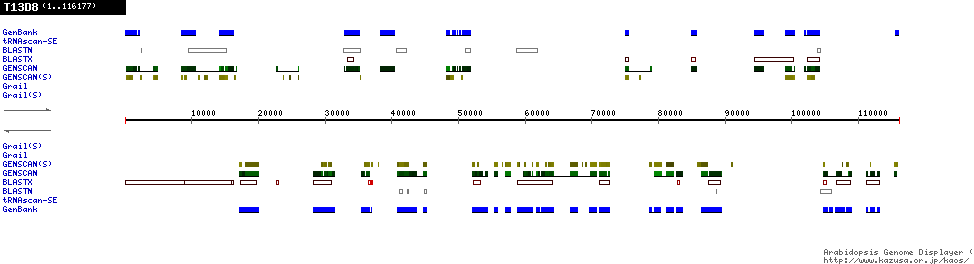 [Image of T13D8]