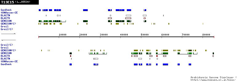 [Image of T13E15]