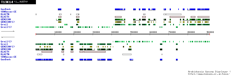 [Image of T13K14]