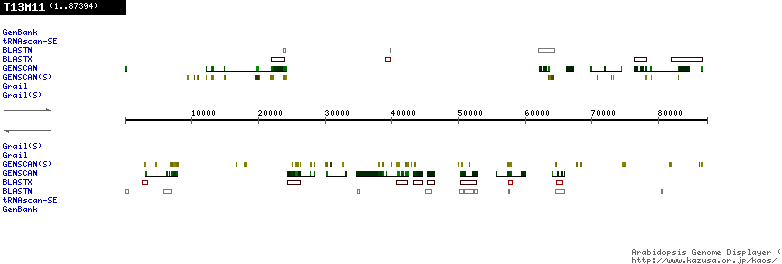 [Image of T13M11]