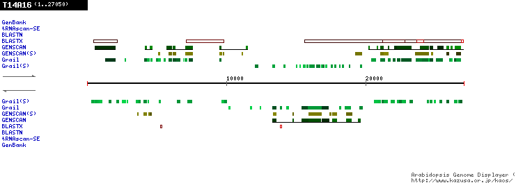 [Image of T14A16]