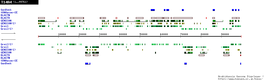 [Image of T14A4]