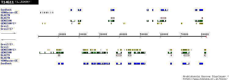 [Image of T14G11]