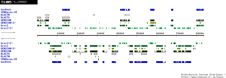 [Image of T14N5]