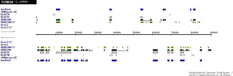 [Image of T15B16]