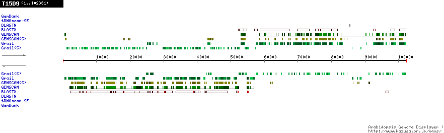 [Image of T15D9]