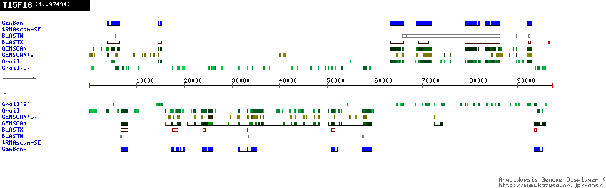 [Image of T15F16]