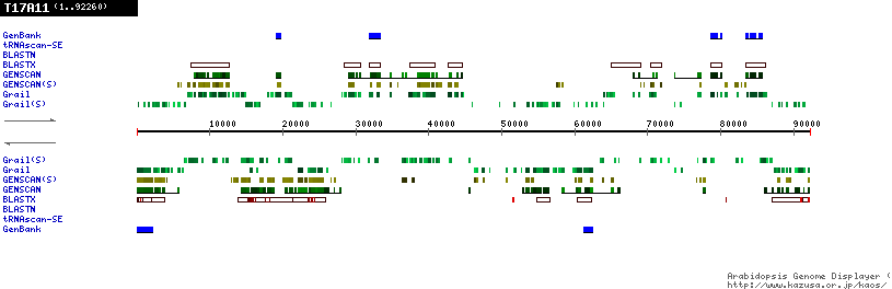 [Image of T17A11]