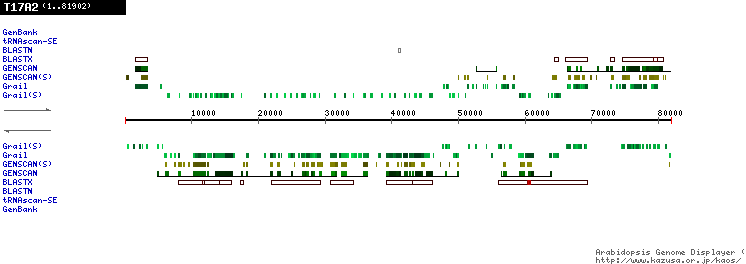 [Image of T17A2]