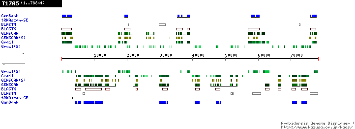 [Image of T17A5]