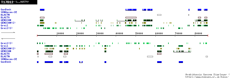 [Image of T17D12]