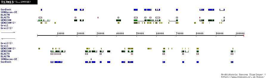 [Image of T17M13]