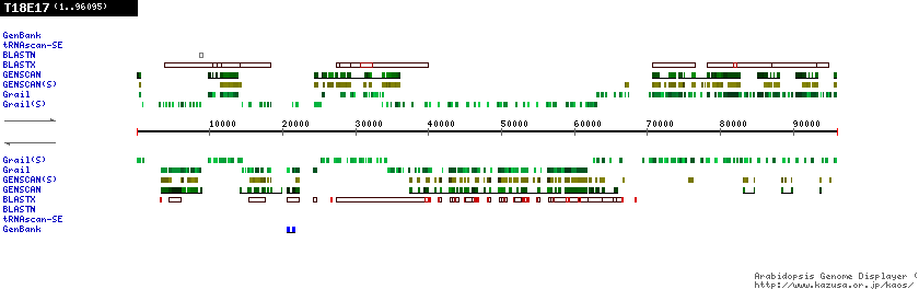 [Image of T18E17]