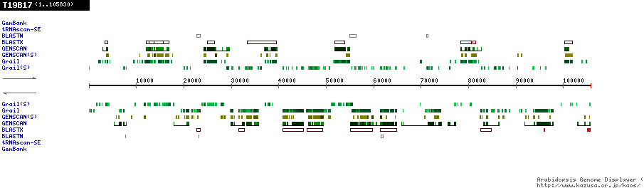 [Image of T19B17]