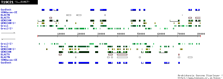 [Image of T19C21]