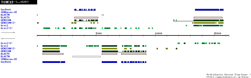 [Image of T19E12]