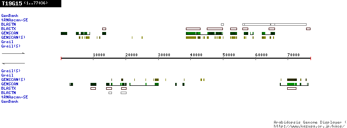 [Image of T19G15]