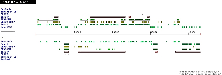 [Image of T19J18]