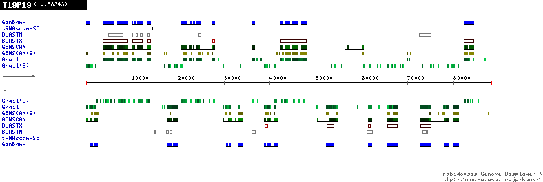 [Image of T19P19]