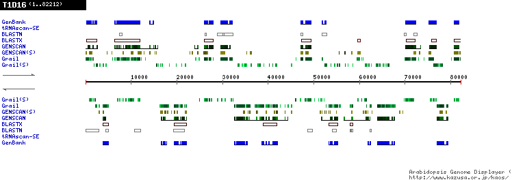 [Image of T1D16]