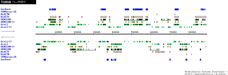 [Image of T1O16]