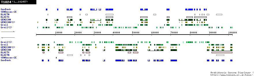 [Image of T1O24]