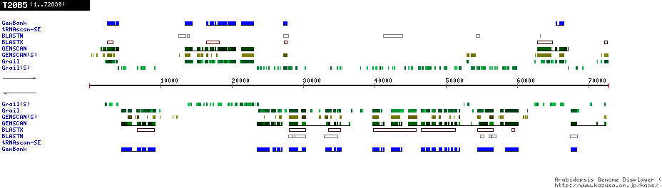 [Image of T20B5]