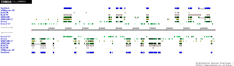 [Image of T20D16]