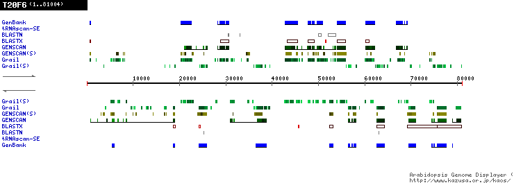 [Image of T20F6]