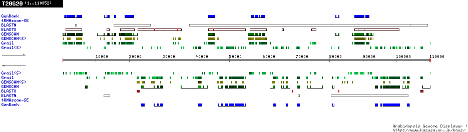 [Image of T20G20]