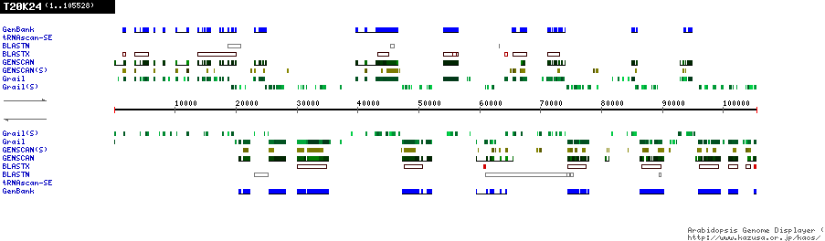 [Image of T20K24]