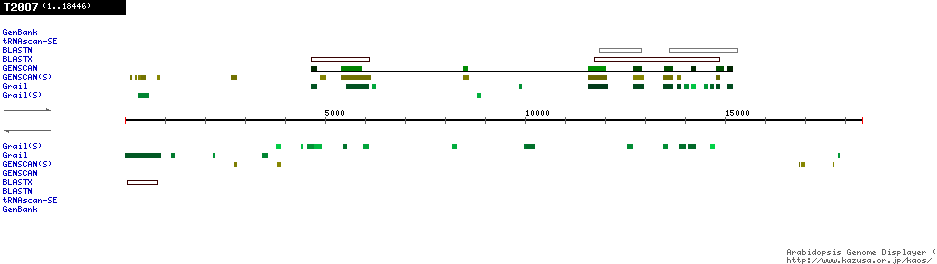 [Image of T20O7]