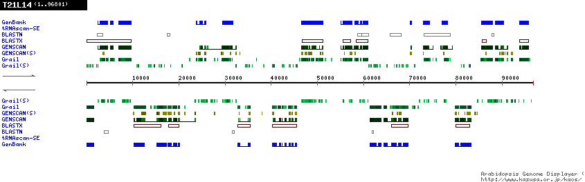 [Image of T21L14]