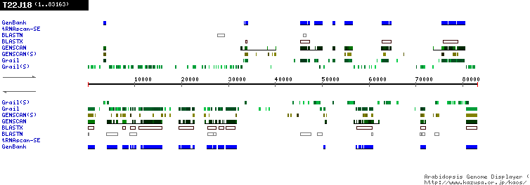 [Image of T22J18]