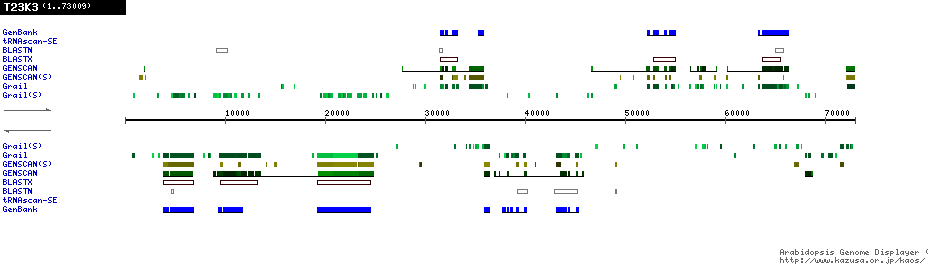 [Image of T23K3]