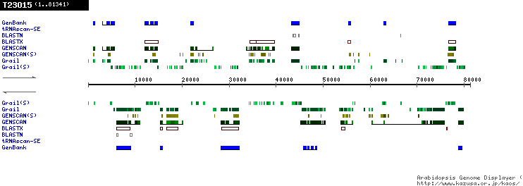 [Image of T23O15]