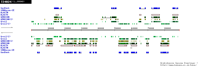 [Image of T24H24]