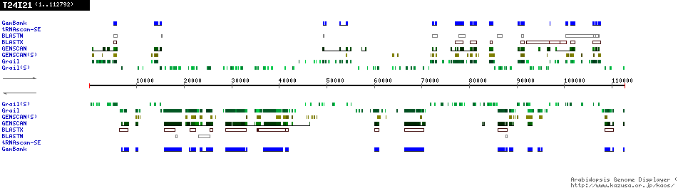 [Image of T24I21]