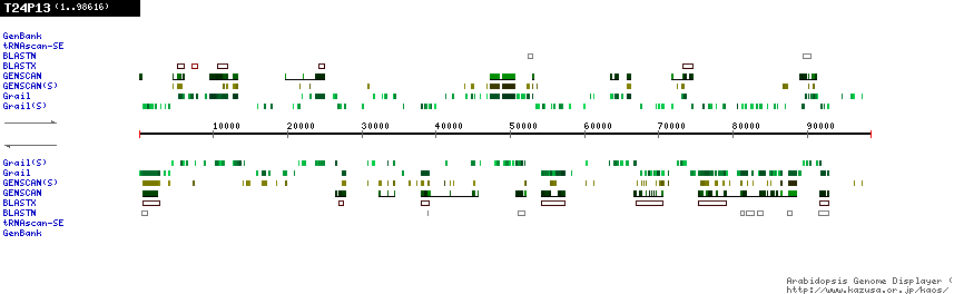 [Image of T24P13]