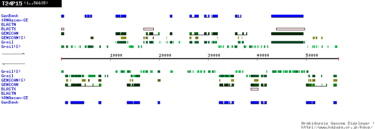 [Image of T24P15]