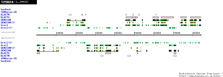 [Image of T25B24]