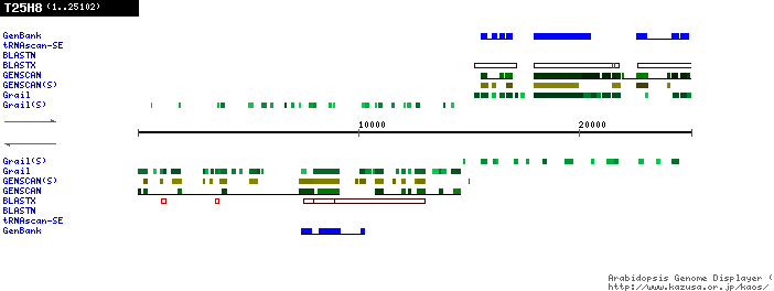 [Image of T25H8]