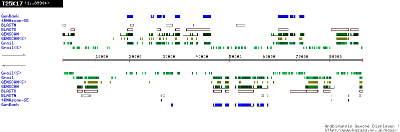 [Image of T25K17]