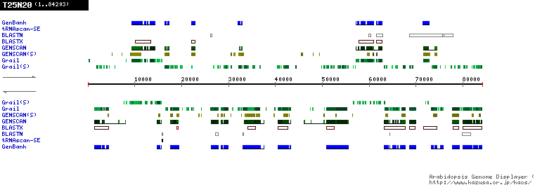 [Image of T25N20]